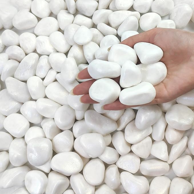 FANTIAN 5 lbs White Pebbles for Indoor Plants, 1-2 Inch Small White River Rocks for Plants, Decorative Polished Stones for Landscaping Vase and Outdoor Garden