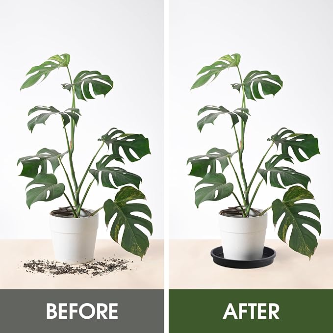 NATSUKY Plant Saucer 14 Inch 2 Pack, 8 10 12 14 Inch Plant Trays Round for Indoors Heavy Duty Plastic Flower Plants Saucers for Pots Outdoors No Holes Drip