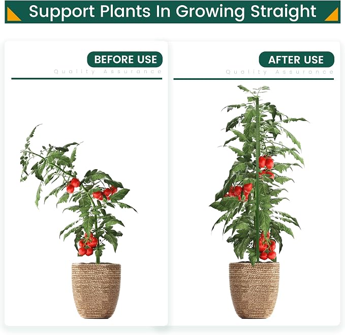 PROWORX 36 Inch 3 Ft Plant Support Garden Stakes 50 PCS, Sturdy Steel Plastic Coated Sticks for Outdoor Growing Climbing, Tomato, Trees, Cucumber, Beans