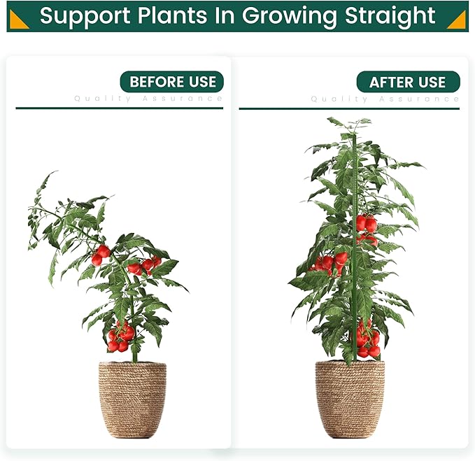 PROWORX 48 Inch 4 Ft Plant Support Garden Stakes 50 PCS, Sturdy Steel Plastic Coated Sticks for Outdoor Growing Climbing, Tomato, Trees, Cucumber, Beans