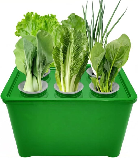 Hydroponics Growing System Kit, 6 Pods Indoor Herb Garden with Pump, Germination System for Vegetables, Lettuce, Basil Growing Plant Propagation (Green)