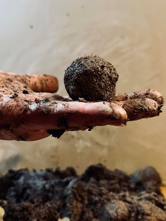 Seed Bomb Mud - Make DIY Seedballs 500grams