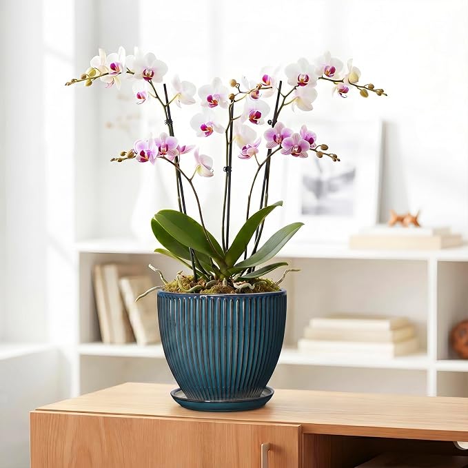 Ceramic Plant Pots, 8 Inch Planters for Indoor Plants, Decorative Flower Pots with Drainage Hole and Saucer, Round Planter, Indoor Flower Pot, Modern Home Decor, Plant Lover Gifts, Retro Blue