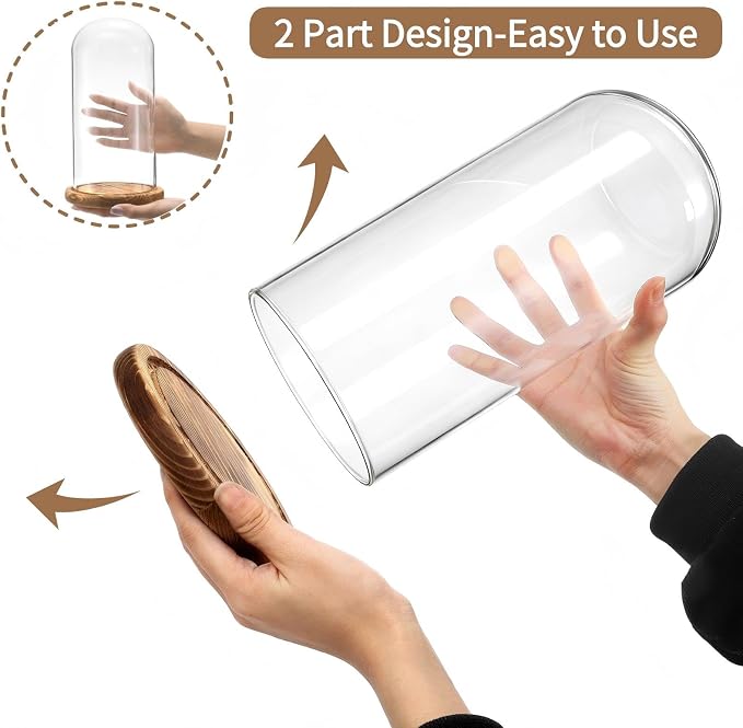 2 Pack Glass Cloche Display Dome, 10 Inch Large Decorative Glass Bell Jar, Clear Dome Showcase with Dark Brown Wooden Base, for Plants, Medals, Photos, Antique Collectibles, Mother's Day