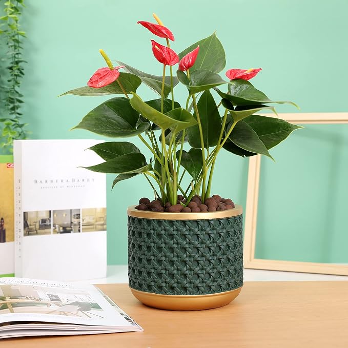 6&4.4 Inch Cement Planter Decorative Pots with Drainage Hole for All House Plants, Succulents, Flowers, and Cactus (Gold Green)