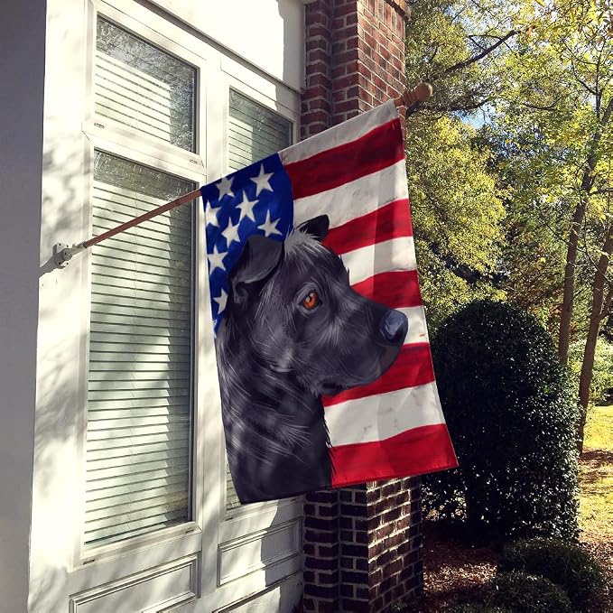 Caroline's Treasures CK6644CHF Phu Quoc Ridgeback Dog American Flag House Flag Large Porch Sleeve Pole Decorative Outside Yard Banner Artwork Wall Hanging, Polyester, House Size, Multicolor
