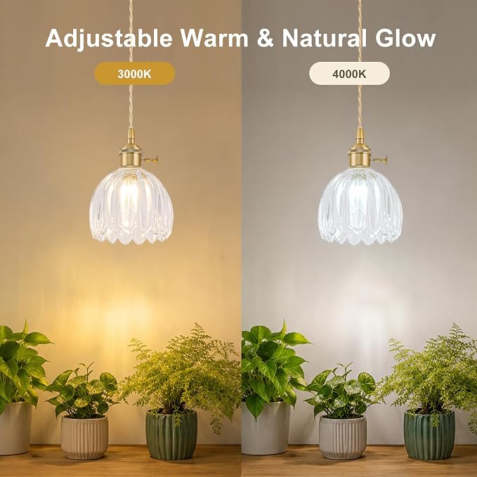 Hanging Grow Lights for Indoor Plants, 12W Full Spectrum 98+ CRI Grow Lamp, Dual CCT 3000K/4000K, Dual Switches, Pulley Height Adjustable, 13.12FT Cord, Petal Glass Plant Light for Indoor Flowers