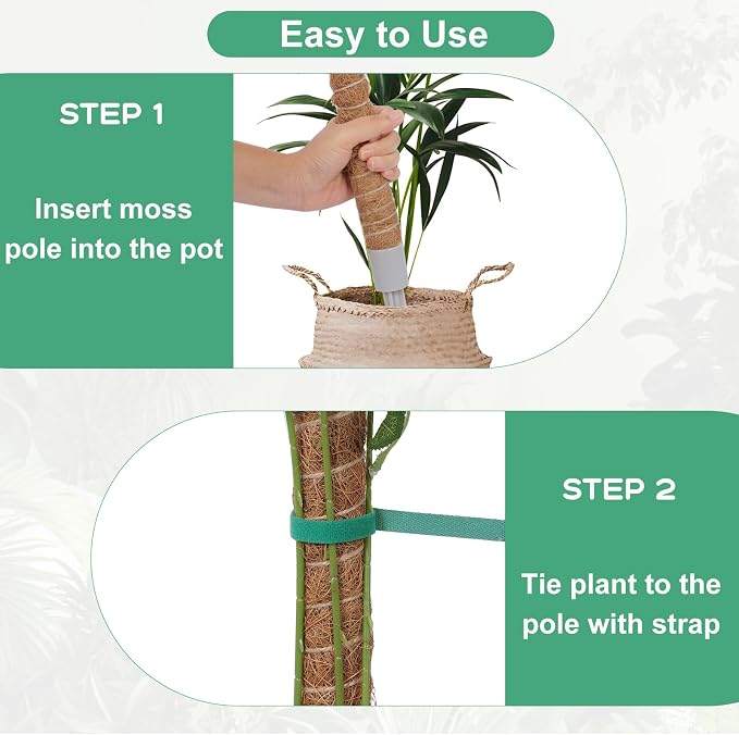 3 Pack Moss Pole, 50 Inch Monstera Plant Support, Tall Moss Poles for Climbing Plants Indoor DIY, Coco Coir Plant Pole Moss Plant Stick Support Stake Kit for Potted Plants, Pothos, Philodendron