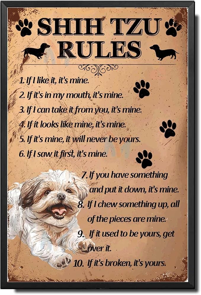 Metal Sign Tin Sign Vintage Wall Art Shih Tzu Rules Tin Signs for Women for Restaurant 12×16 Inches with Metal Frame