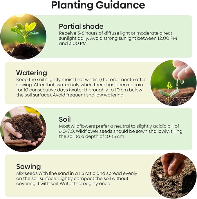 Groundio 23 Varieties Partial Shade Wildflower Seeds, Mixed Annual and Perennial Flower Seeds for Garden, Yard, Container Planting, 1 Ounce