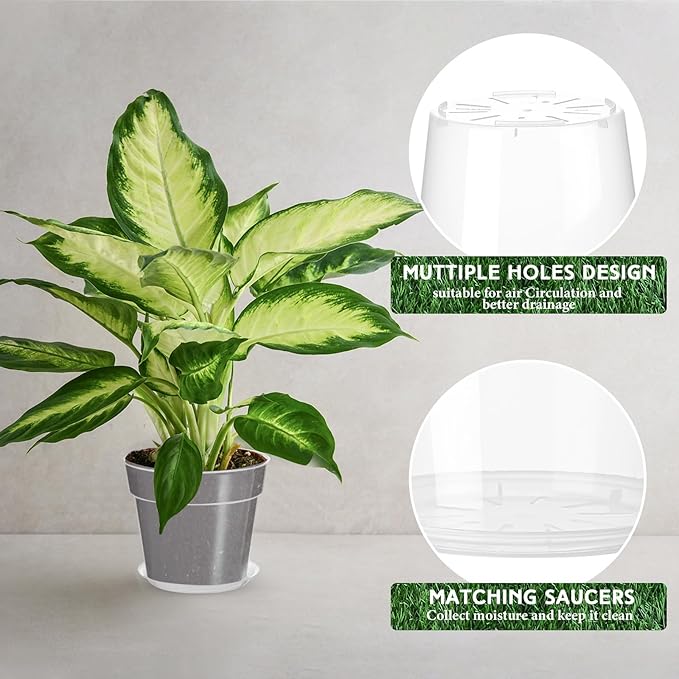Baderke 3 Pack Clear Nursery Pot Plastic Nursery Pot Large Plant with Drainage Holes for Root Health Indoor Outdoor (11.65 Inches)