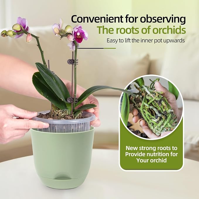 QCQHDU 7.2Inch Orchid Pots with Holes for Repotting, Double-Layer Plastic Self Watering Flower Pots for Indoor Plants with Drainage Holes, Clear Orchid Pot Match Decorative Orchid Container, 5 Packs