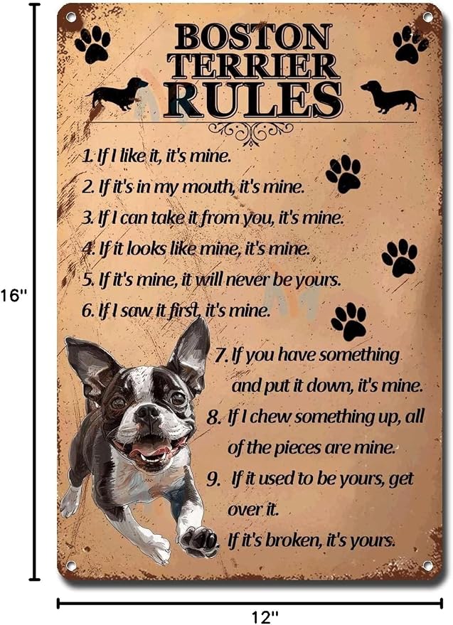 Metal Sign Tin Sign Vintage Wall Art Boston Terrier Rules Bar Signs for Home Bar for Bar 12×16 Inches