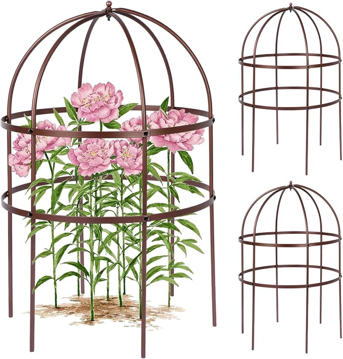 2 Pcs Jardin Bird Cage Plant Support 24" H Large Sturdy Grow-Through Flower Support Peony Cage Climbing Plant Support Trellis Sculptural Garden Decor for Perennial Flowers (Vintage Gold)