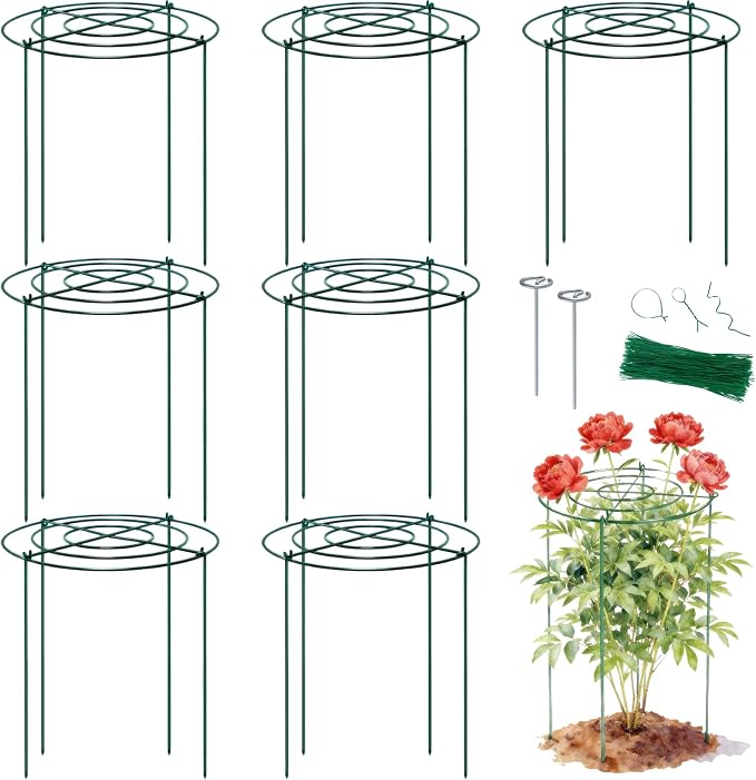 Lancisism 8 Pack Peony Cages and Supports - Heavy Duty Grow Through Metal Plant Support for Outdoor Plants - Plant Support Frame Ring for Rose Tomato Hydrangea Sage Strawberry 12" D x 16" H