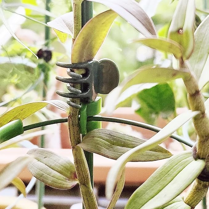 300PCS Plant Clips for Climbing Plants, Orchid Clips Plant Support Clips Secured Plastic Plant Clips, Plant Fixing Clips Reusable Garden Clips Vine Clips for Supporting Stems Vines Grow (Dark Green)