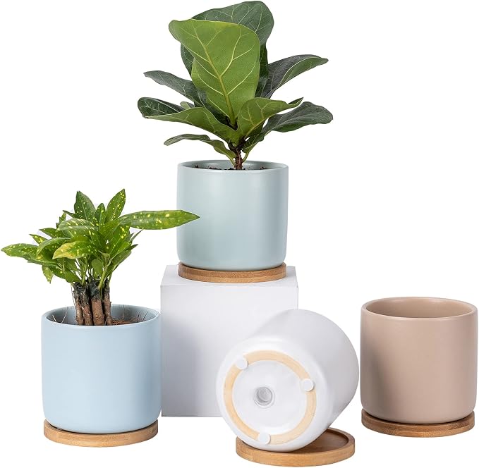 Succulent Pots, 4 Inch Ceramic Planter Plant Pot with Tray, Drainage Hole & Mesh Pad for Indoor Flowers, Cactus, Herbs, Aloes - Cool Multicolor, Set of 4 (Plant Not Included) | Cool Multicolor, for Indoor Flowers, Cactus, Herbs, Aloes, Set of 4,Plant N...