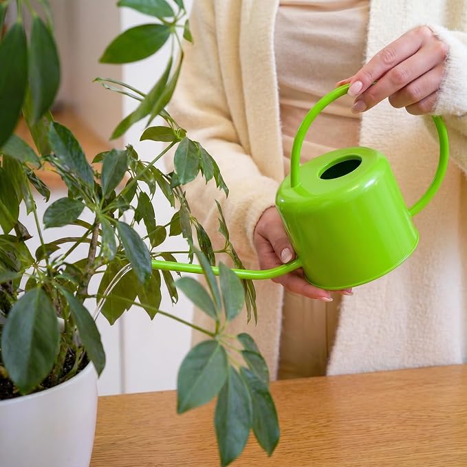 Plexon Long Spout Watering Can Indoor Plants, 40 oz Small Watering Can Pot Metal for Garden Flowers House Plants Mini, Powder Coated,Gift for Mom Girlfriend Daughter, Green