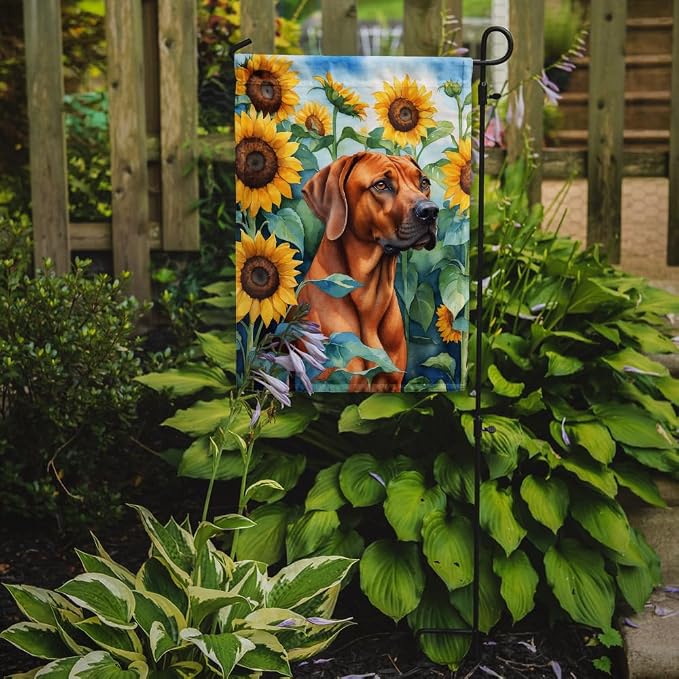 Caroline's Treasures DAC6149GF Rhodesian Ridgeback in Sunflowers Garden Flag Mailbox Flag Decorative Yard Flag Banner Outside Patio Artwork Yard Flower Beds, Garden Size, Multicolor