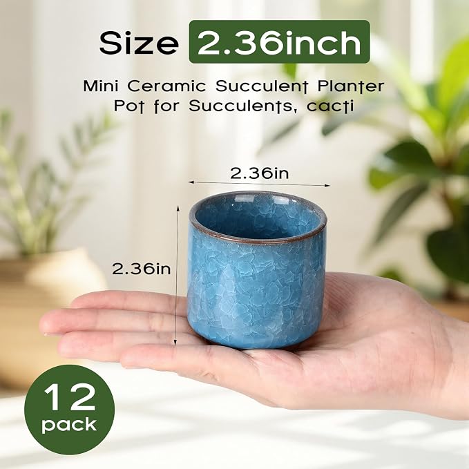 12 Pack 2.36 Inch Small Ceramic Succulent Planter Pot with Drainage Hole, Mini Ice Crack Glaze Flower Pots for Indoor Succulent Planters for Cactus Plant Lover Gifts for Women Mom Coworker