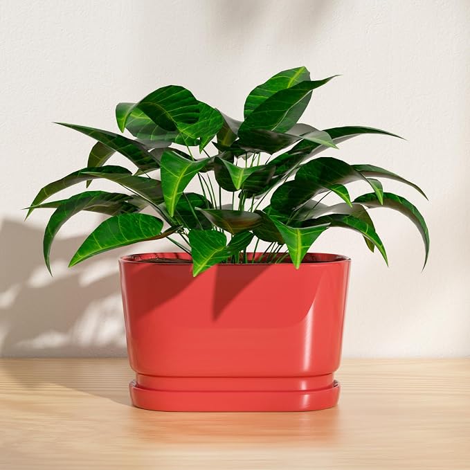 13" Rectangular Ceramic Planter with Drainage and Saucer, Red | Indoor Outdoor Use, 13"L x 5.5"W x 6.3"H, Modern Home Decor, Window Box Planter, Red Glossy Finish