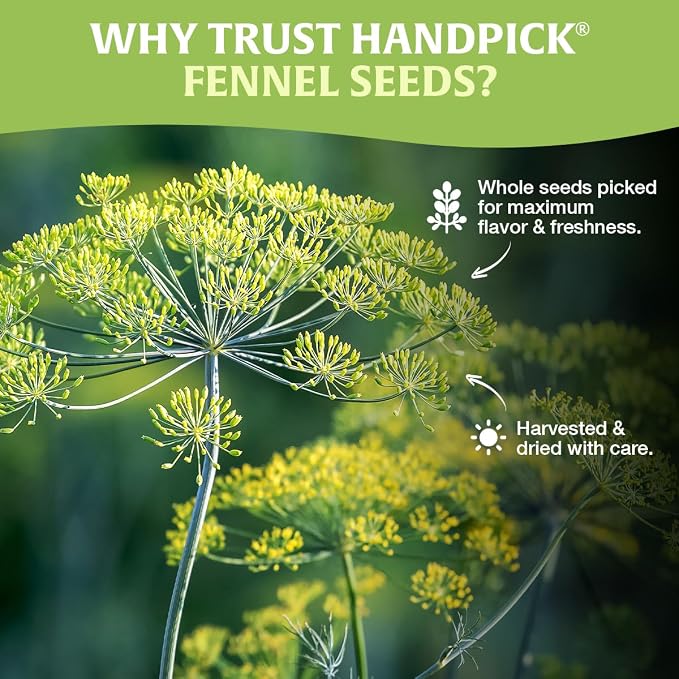 HANDPICK Fennel Seeds (397g/14oz) Tested for Quality | Raw Fennel Seed | Perfect for Cooking, Teas, Smoothies & Lattes | Bulk Whole Seeds in Resealable Zip Lock Pouch (Packaging may vary)