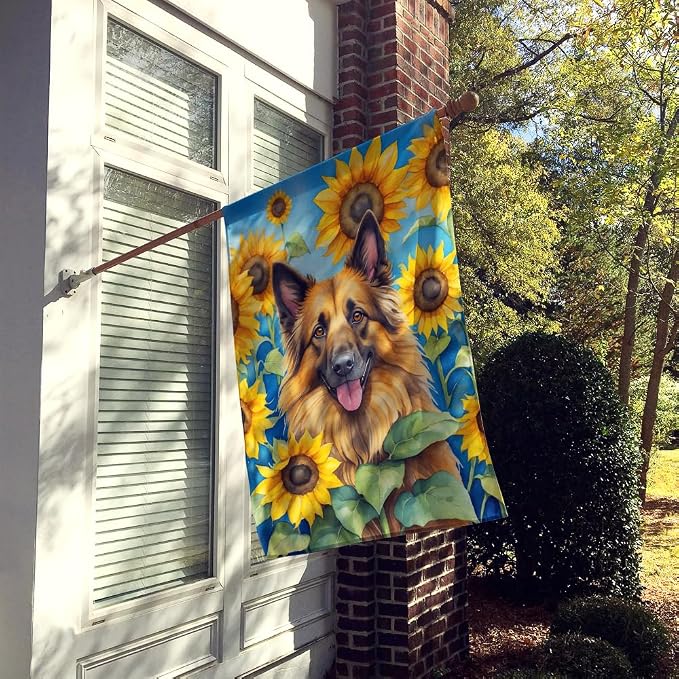 Caroline's Treasures DAC6024CHF Belgian Tervuren in Sunflowers House Flag Large Porch Sleeve Pole Decorative Outside Yard Banner Artwork Wall Hanging, Polyester, House Size, Multicolor