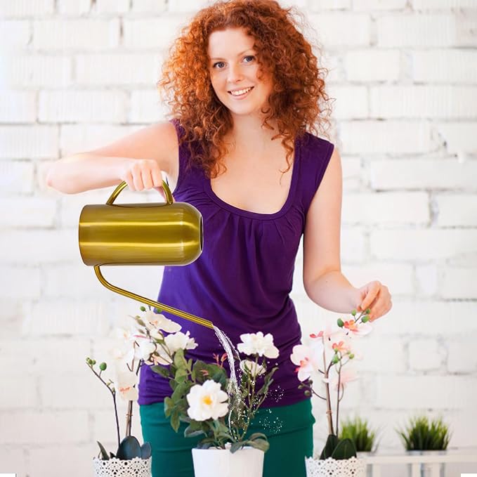 Watering Can Indoor Outdoor Plants, 50oz/1500ml Garden Long Spout Watering Cans, Stainless Steel Plants Watering Can Pot for Indoor House Plants Bonsai Flower Decorative