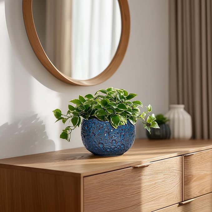 6 Inch Plant Pot - Ceramic Pots for Plants with Drainage Hole, Round Orchid Pot, Unique Planter for Indoor Outdoor, Modern Decorative Flower Pots, Room Decor, Plant Lovers Gifts, Retro Blue