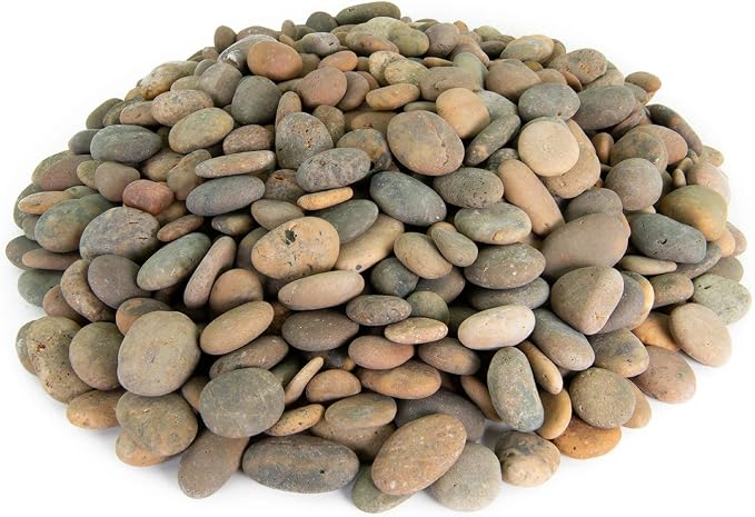 Mexican Beach Pebbles | 40 Pounds of Smooth Unpolished Stones | Hand-Picked, Premium Pebbles for Garden and Landscape Design | Buff Buttons, 1/2 Inch - 1 Inch