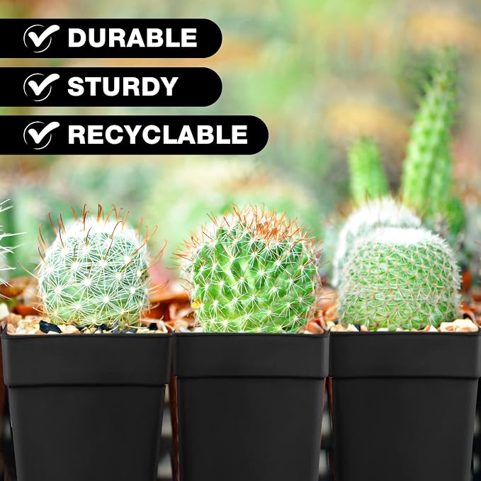 Amyhill 100 Pcs 4 Inch Flower Pots Square Plants Nursery Pot Plastic Plant Seedling Pots Small Nursery Transplanting Planter Container with Saucer for Indoor Succulent Balcony Garden (Black)