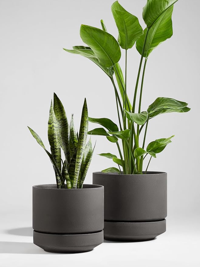 LE TAUCI 14 Inch Large Plant Pot with Saucer, Ceramic Outdoor & Indoor Big Planter with Drainage Hole, Mesh Pad Included, Unglazed Porous, Modern for Home and Patio, Charcoal Gray