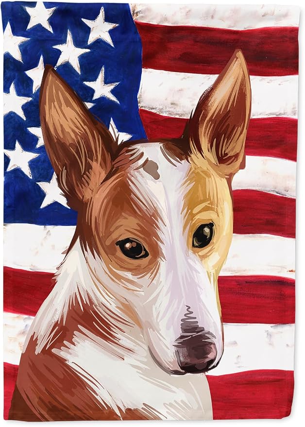 Caroline's Treasures CK6610CHF Majorca Ratter American Flag House Flag Large Porch Sleeve Pole Decorative Outside Yard Banner Artwork Wall Hanging, Polyester, House Size, Multicolor
