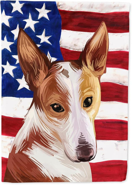Caroline's Treasures CK6610CHF Majorca Ratter American Flag House Flag Large Porch Sleeve Pole Decorative Outside Yard Banner Artwork Wall Hanging, Polyester, House Size, Multicolor