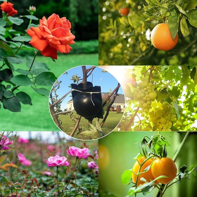 10PCS Propagation Stations Air Layering Pods, Reusable Take Rapid Root Plugs Air Layering Propagation Kit Grafting Tool Box Plant Propagation Ball Root Tone for Plant Cuttings Tree