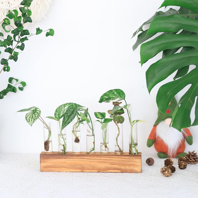 KAXYEW Plant Terrarium with Wooden Stand, Plant Propagation Tubes, 7 Test Tubes Glass Planter for Hydroponic Plant Cuttings Home Office Décor