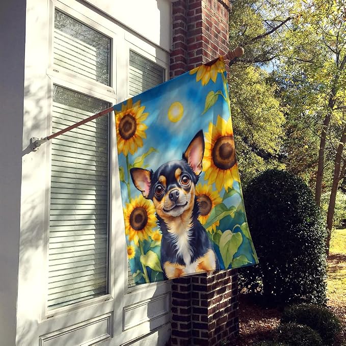 Caroline's Treasures DAC6052CHF Chihuahua in Sunflowers House Flag Large Porch Sleeve Pole Decorative Outside Yard Banner Artwork Wall Hanging, Polyester, House Size, Multicolor