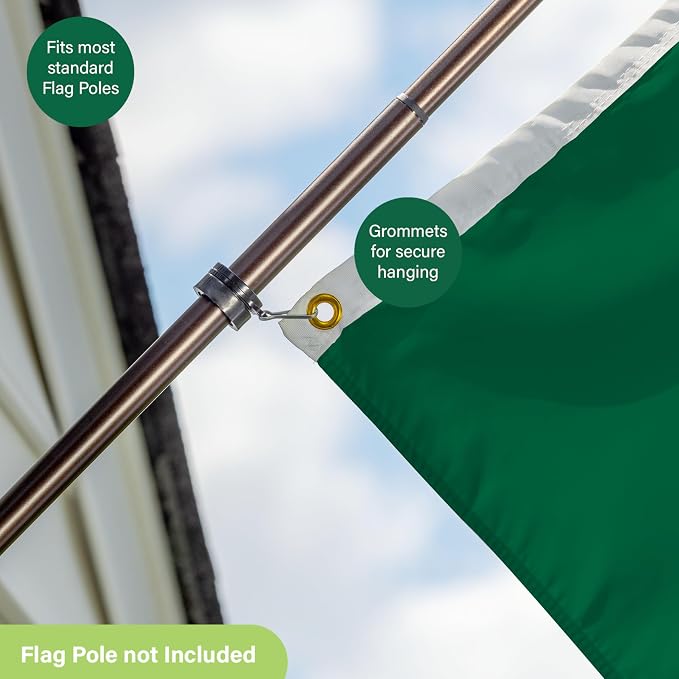 NFL Philadelphia Eagles Vintage Logo 3' x 5' Outdoor Durable Flag with Grommets, Outdoor Banner for Garden Patio Decoration, Indoor Wall Decor Flag for Room, Works with Flag Poles for Outside House