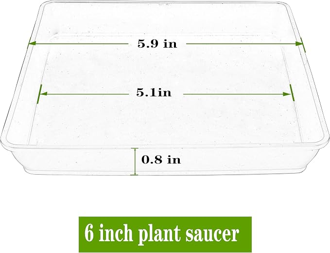 LWALRS Square Plant Saucer 6inch 5 Pack, Plastic Plant Saucers, Plant Water Dray Tray, 8 10 12 14 16 18 20 Inch Garden Planters for for Pots Base Indoors and Outdoors Plants（6 inch Black）