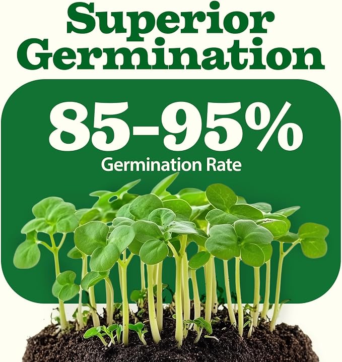 32 Heirloom Vegetable and Fruit Seeds for Planting - 16,000+ Seeds | Non-GMO Survival Seed Vault | High Germination | 32 Varieties of Vegetable Seeds for Your Home Survival Garden