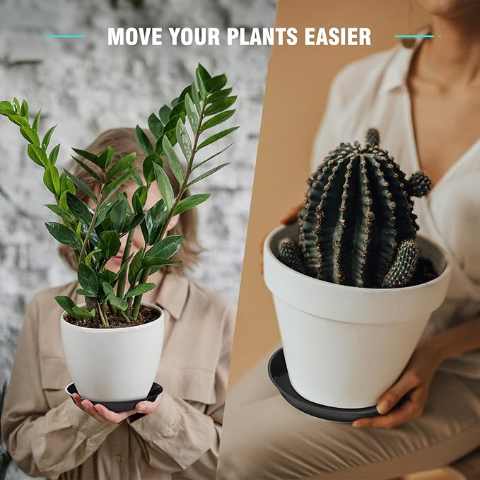 6 Pack Plant Saucer 4 6 8 10 12 14 16 18 20 22 Inch Plastic Plant Tray, Sturdy and Durable Flower Pot Container Accessories Plant Pot Saucers for Indoor and Outdoor (8 Inch, Black)