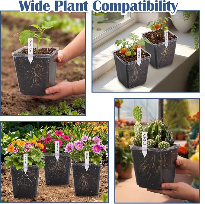 RooTrimmer 5.5 Inch Clear Square Nursery Pots with Drainage & Labels, 30Pcs Reusable Seed Starter Pots for Vegetables, Indoor Outdoor Gardening, Thick Transparent Plastic Plant Pots for Seed Starting