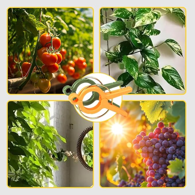 Plant Clips, 2026 Upgrade Plant Support Clips Reusable Garden Clips, Secured Plastic Plant Clips, Tomato Trellis Clips Plant Vine Fixing Clips for Climbing Plants Indoor Outdoor (Orange*12)