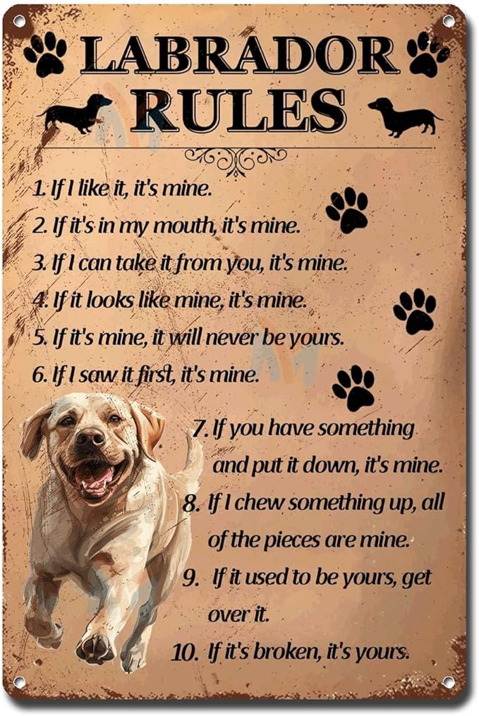 Metal Sign Tin Sign Vintage Wall Art Labrador Rules Home Decor for Restaurant 12×16 Inches