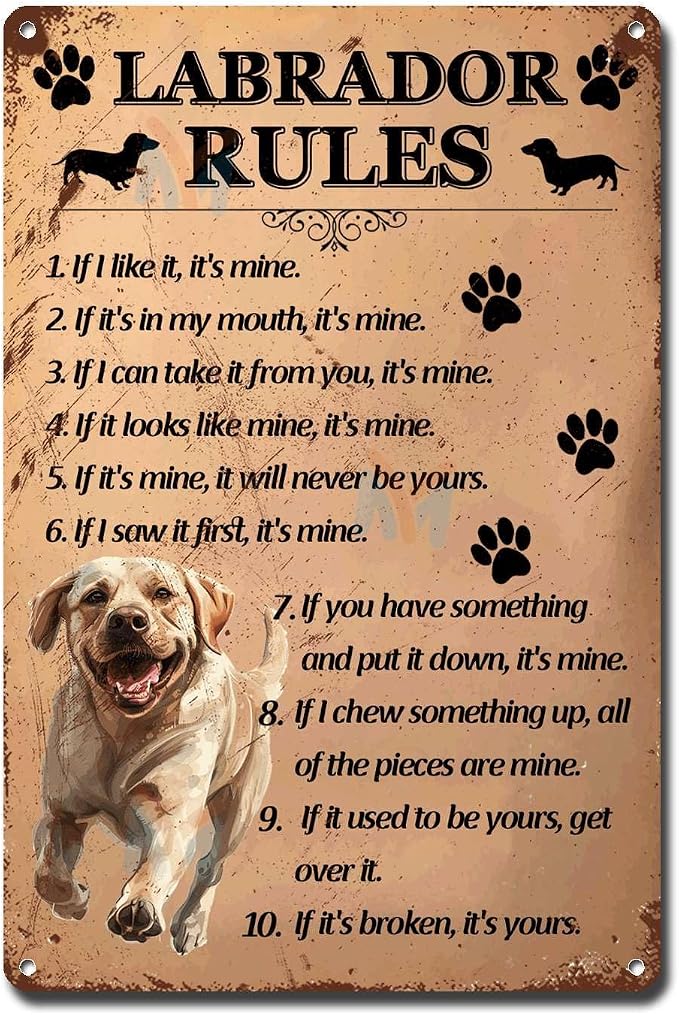 Metal Sign Tin Sign Vintage Wall Art Labrador Rules Toilet Decor Tin Sign for Restaurant 8×12 Inches