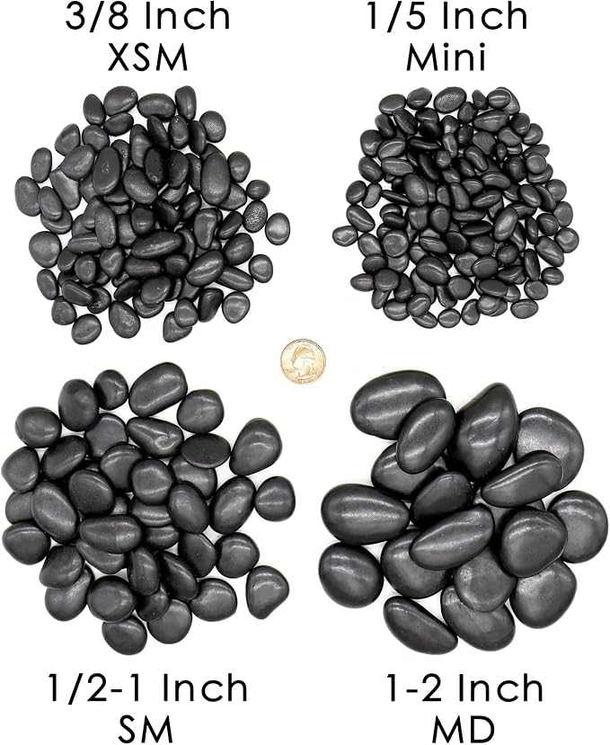 Black Rocks - Polished MD (1 to 2 Inch), 10 lbs Decorative for Gardens, Landscaping, Succulents & Pots
