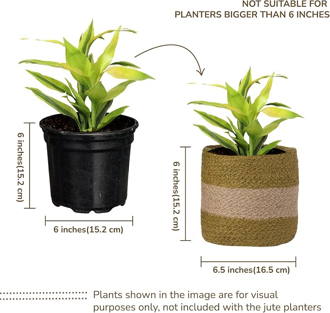 Jute Planter Basket-Woven Jute Rope Covers for Decorating Indoor/Outdoor Succulents, Small Plant Pots-Set of 2-Multi-Purpose Storage Bins 6.5 Inches - Modern Style Décor- Olive & Natural