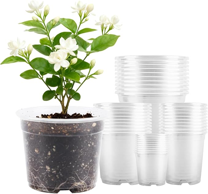 40 Pcs Clear Nursery Pots , 2.5/3.5/4/5 In clear nursery pots with drainage | Succulents,Plastic Nursery Pots with Drainage Holes (10 of Each Size),Garden Pot for Outdoor Indoor