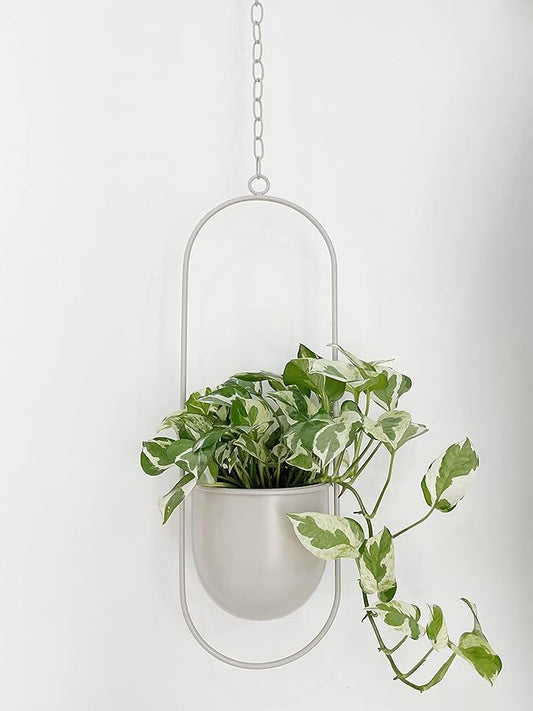 RISEON Boho Beige Metal Plant Hanger,Metal Wall and Ceiling Hanging Planter, Modern Planter, Mid Century Flower Pot Plant Holder, Minimalist Planter for Indoor Outdoor Home Decor