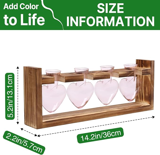 Plant Propagation Stations Heart Plant Terrarium Kit | Gift for Women Plant Lover Glass Vases